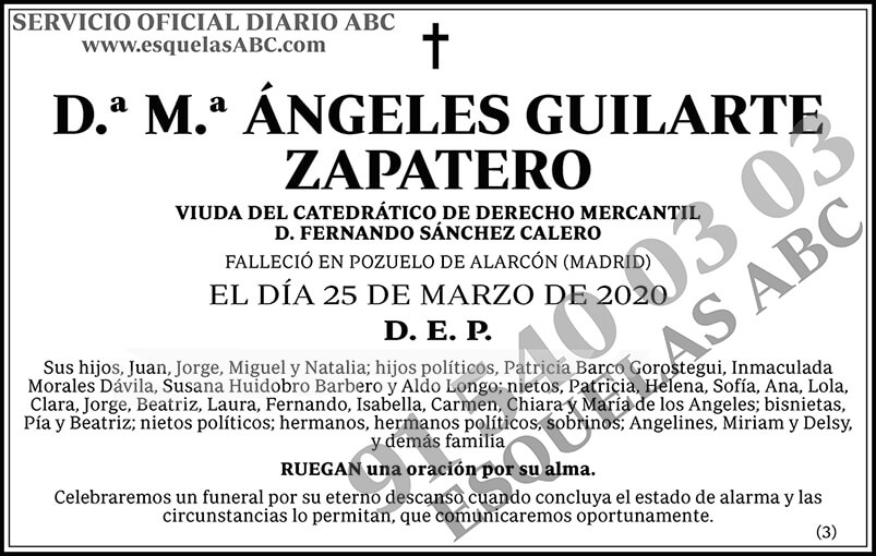 M.ª Ángeles Guilarte Zapatero