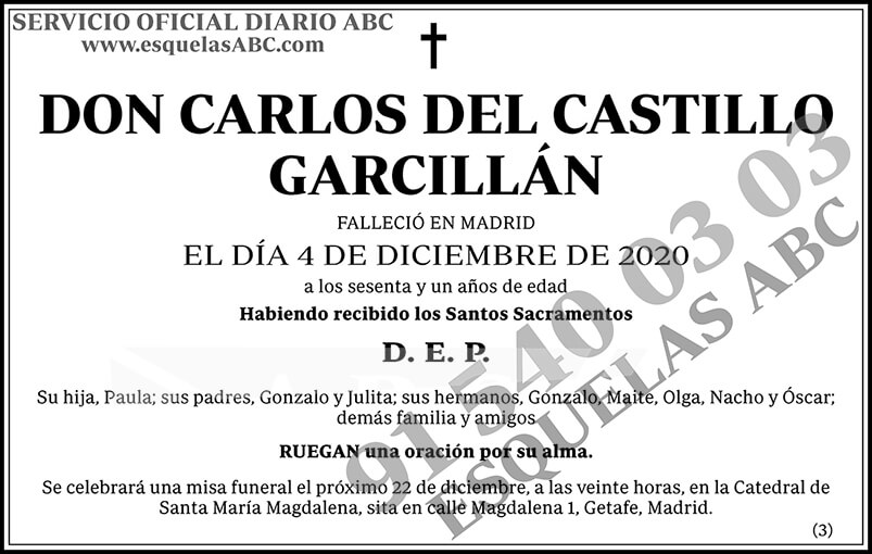 Carlos del Castillo Garcillán