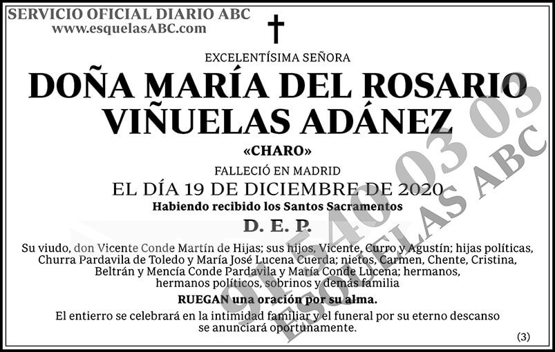 María del Rosario Viñuelas Adánez