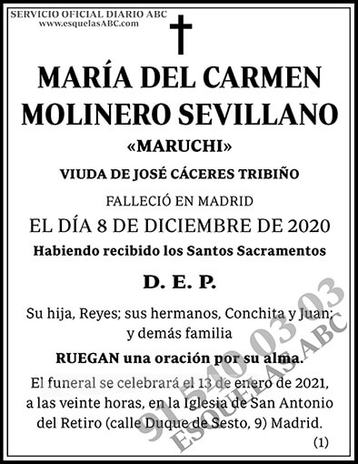 María del Carmen Molinero Sevillano