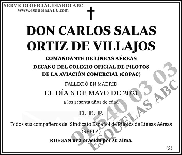Carlos Salas Ortiz de Villajos