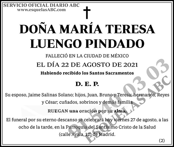 María Teresa Luengo Pindado