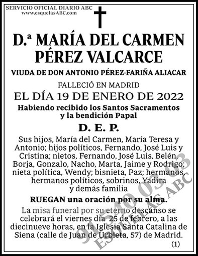 María del Carmen Pérez Valcarce