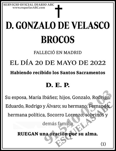 Gonzalo de Velasco Brocos