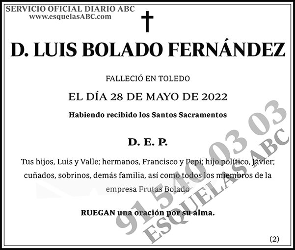 Luis Bolado Fernández