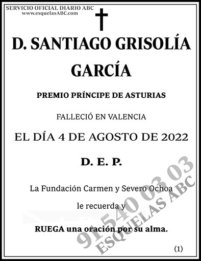 Santiago Grisolía García