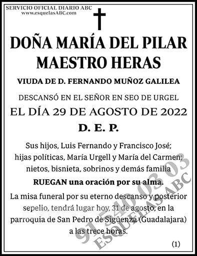 María del Pilar Maestro Heras