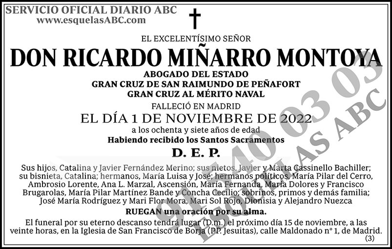 Ricardo Miñarro Montoya