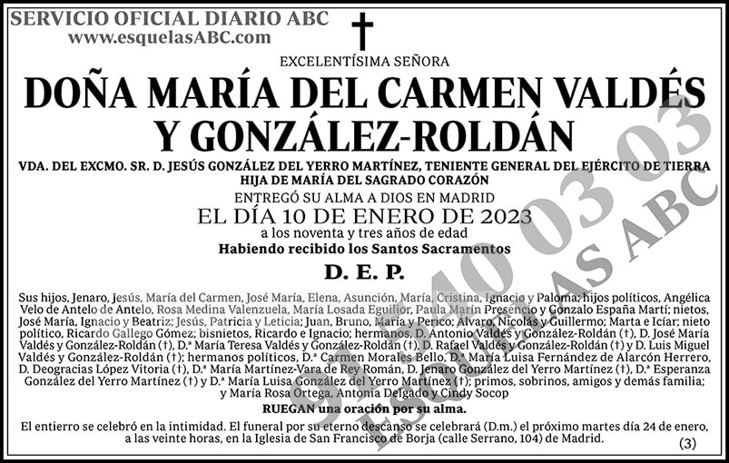 María del Carmen Valdés y González-Roldán