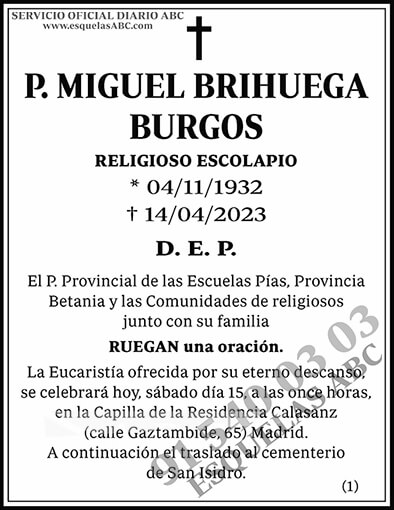 Miguel Brihuega Burgos