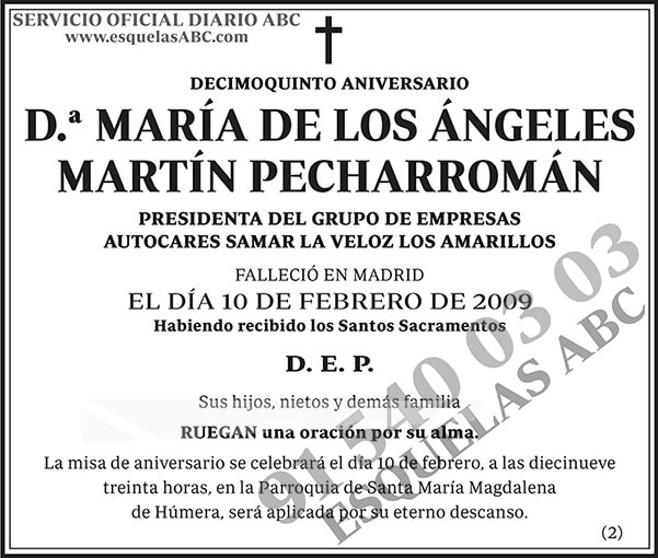 María de los Ángeles Martín Pecharromán