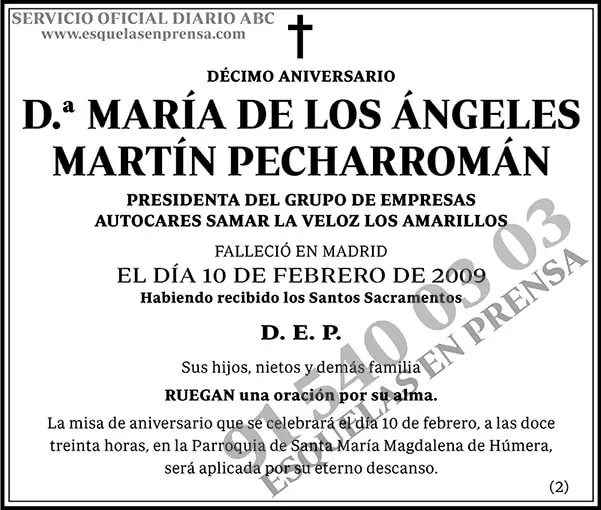 María de los Ángeles Martín Pecharromán