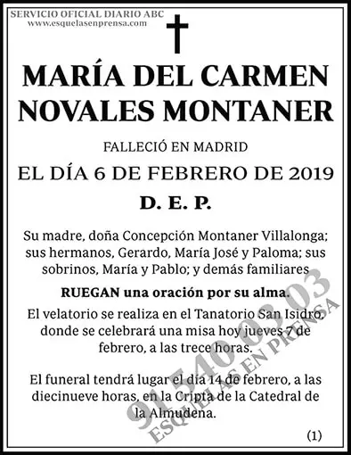 María del Carmen Novales Montaner