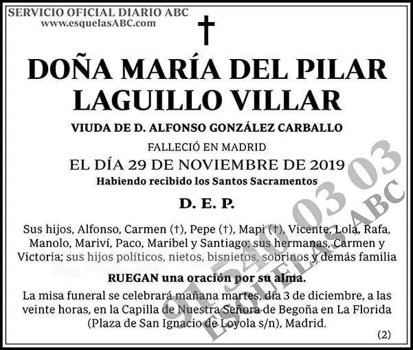 María del Pilar Laguillo Villar