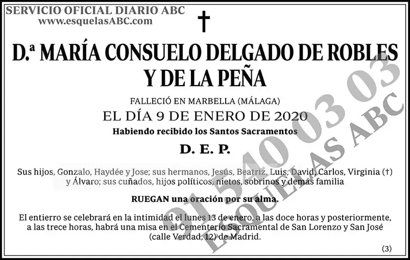 María Consuelo Delgado de Robles y de la Peña