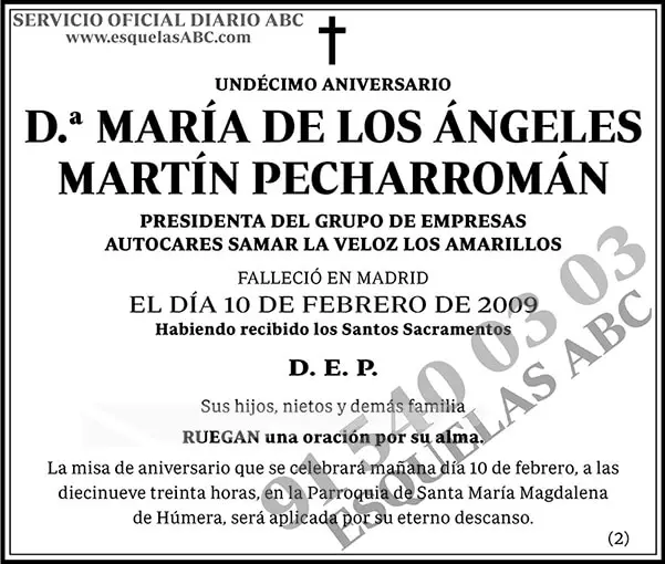 María de los Ángeles Martín Pecharromán