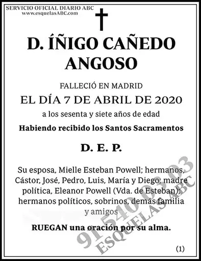Íñigo Cañedo Angoso