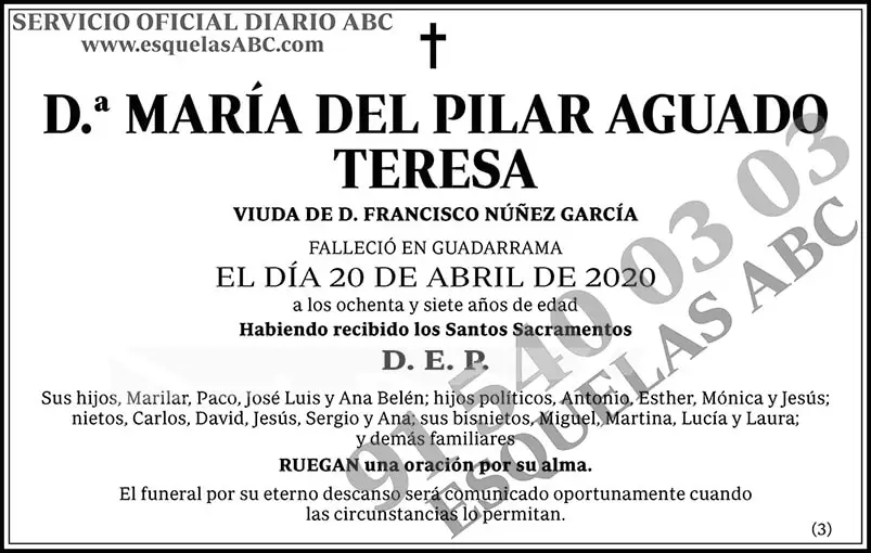 María del Pilar Aguado Teresa
