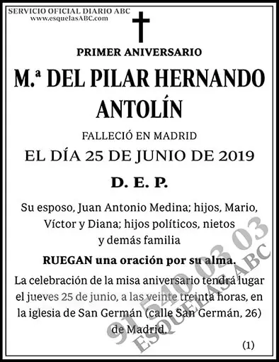M.ª del Pilar Hernando Antolín