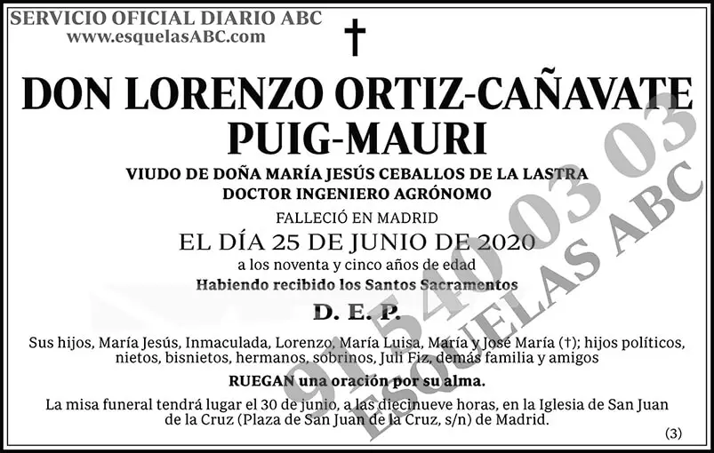 Lorenzo Ortiz-Cañavate Puig-Mauri