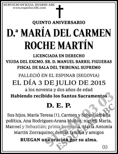 María del Carmen Roche Martín