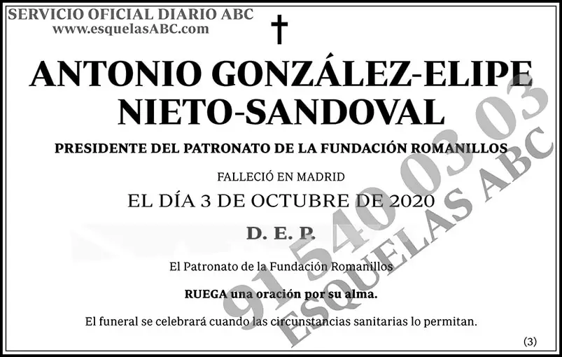 Antonio González-Elipe Nieto-Sandoval