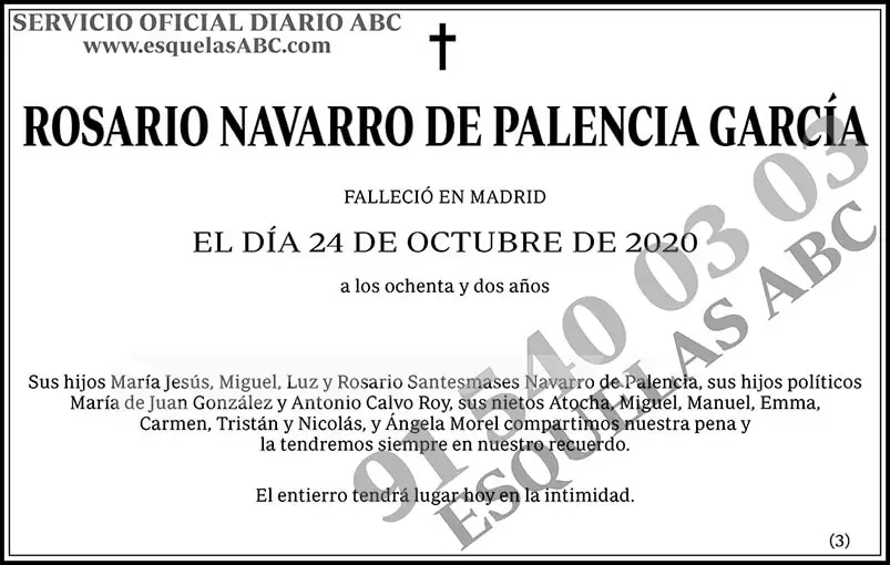 Rosario Navarro de Palencia García