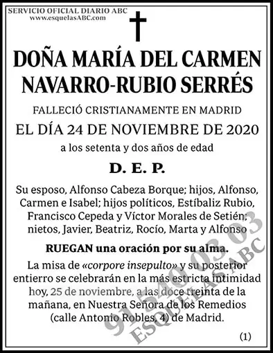 María del Carmen Navarro-Rubio Serrés