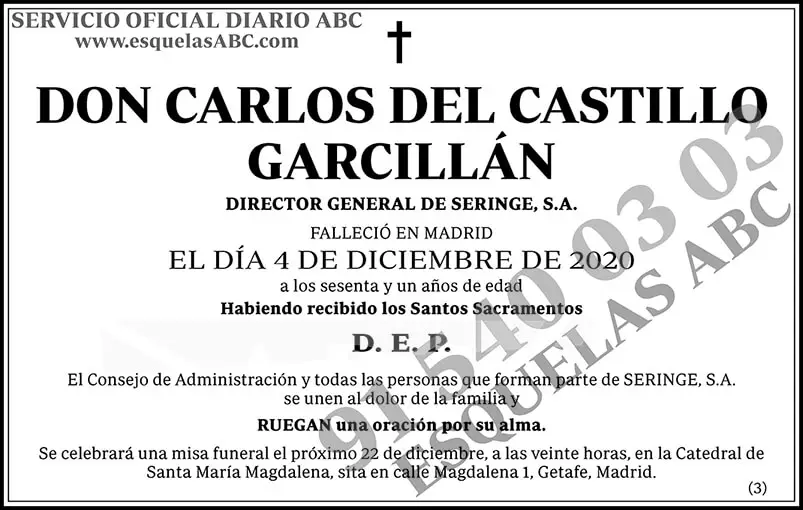 Carlos del Castillo Garcillán