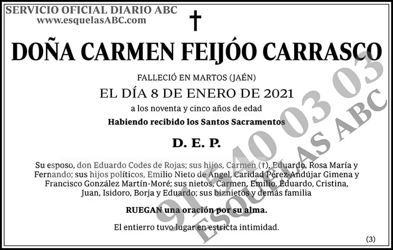 Carmen Feijóo Carrasco