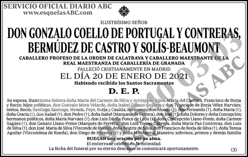 Gonzalo Coello de Portugal y Contreras, Bermúdez de Castro y Solís-Beaumont