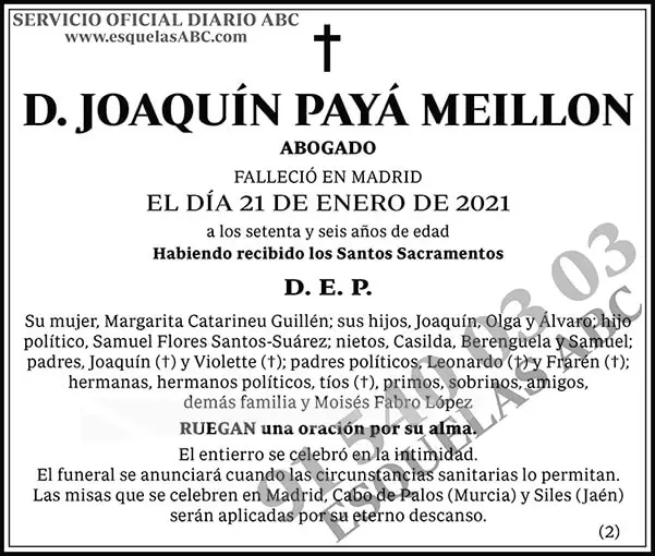 Joaquín Payá Meillon