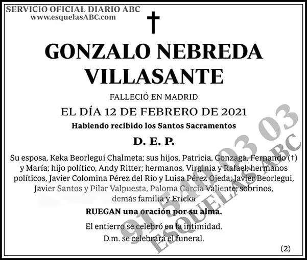Gonzalo Nebreda Villasante