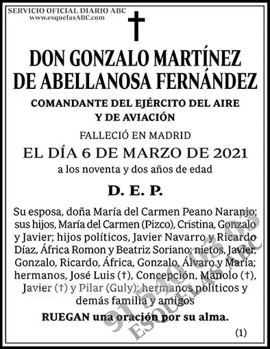 Gonzalo Martínez de Abellanosa Fernández