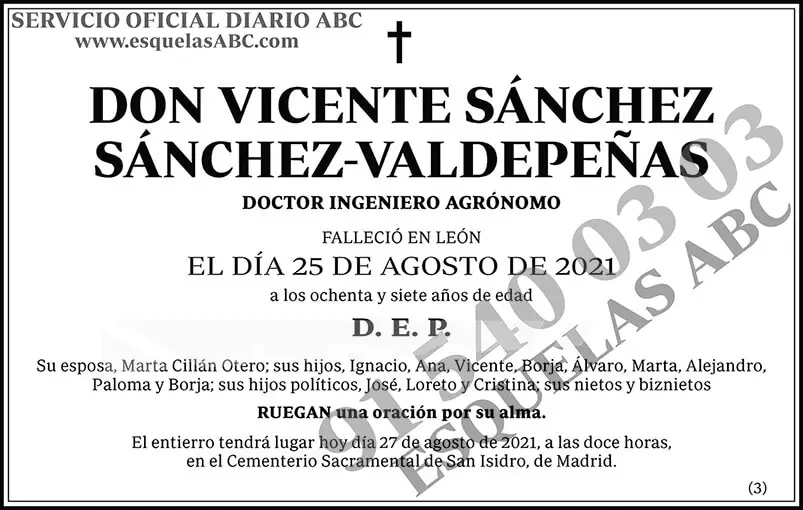 Vicente Sánchez Sánchez-Valdepeñas