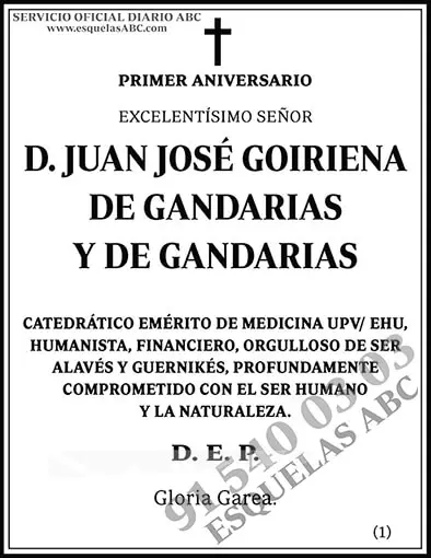 Juan José Goiriena de Gandarias y de Gandarias