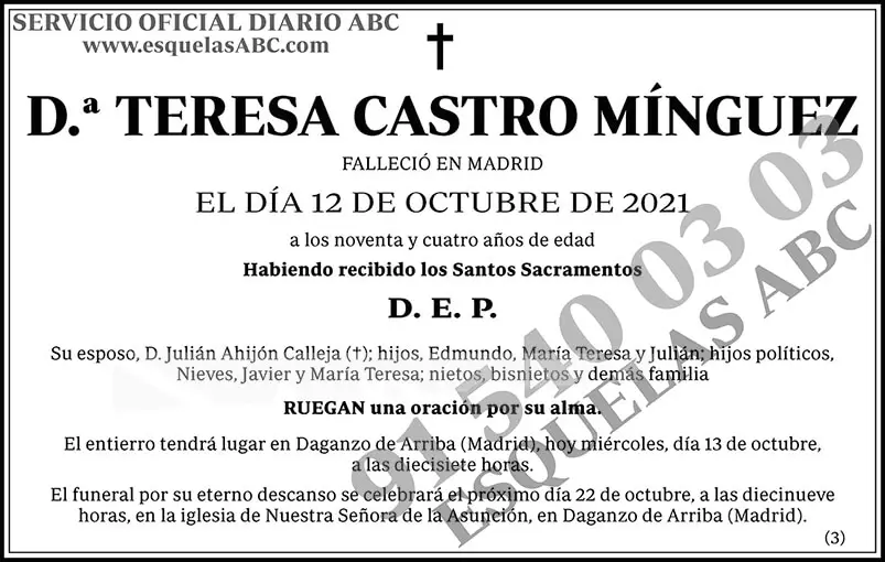 Teresa Castro Mínguez