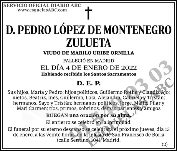 Pedro López de Montenegro Zulueta