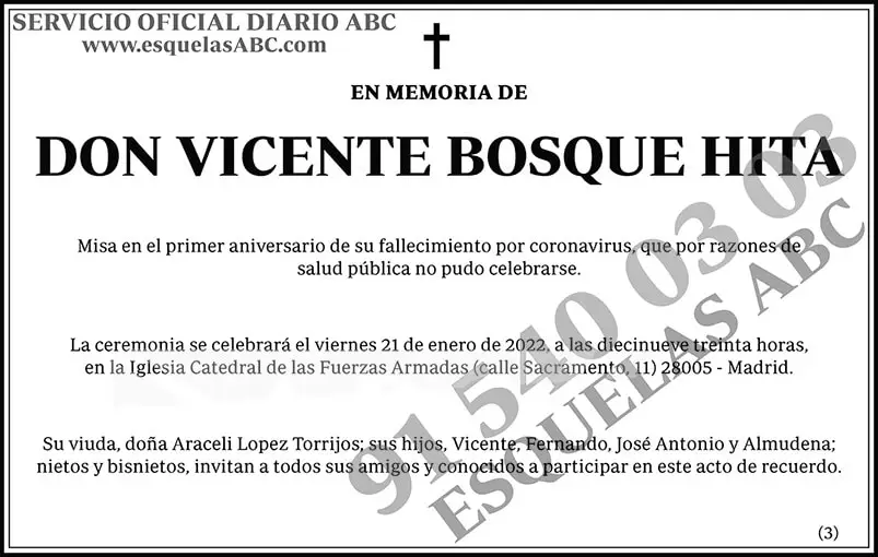 Vicente Bosque Hita