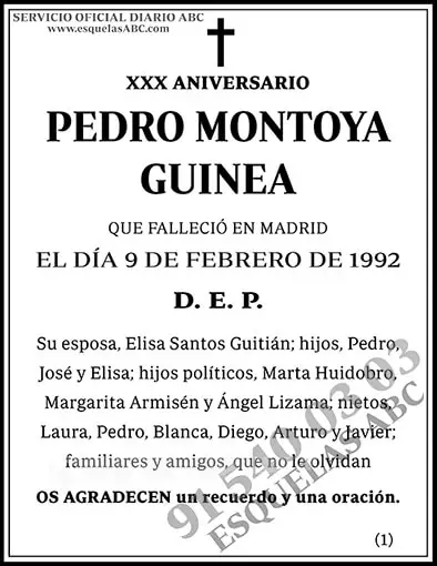 Pedro Montoya Guinea