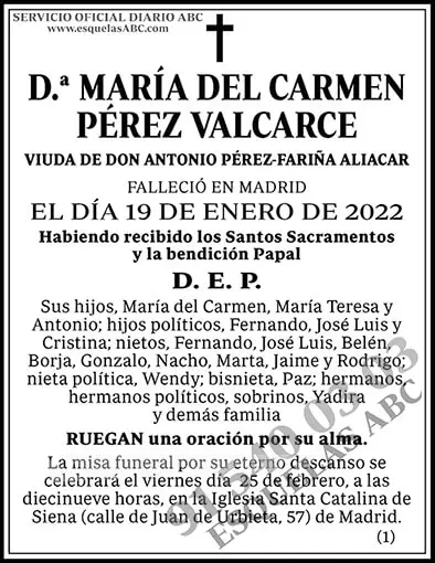 María del Carmen Pérez Valcarce