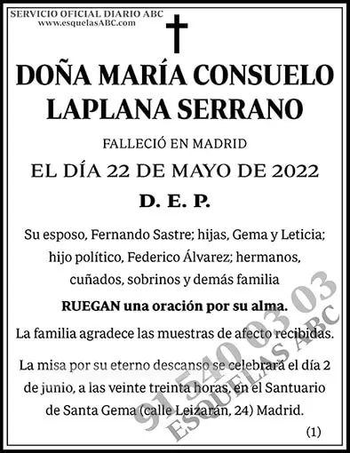 María Consuelo Laplana Serrano