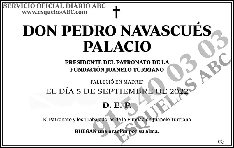 Pedro Navascués Palacio
