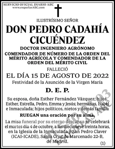 Pedro Cadahía Cicuéndez