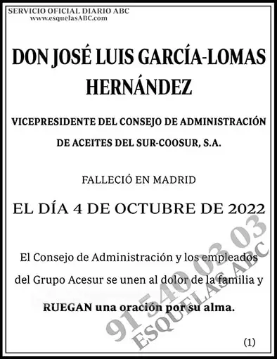 José Luis García-Lomas Hernández
