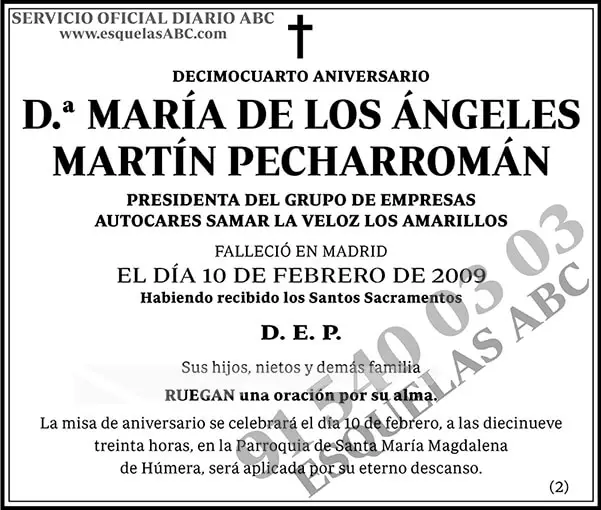 María de los Ángeles Martín Pecharromán
