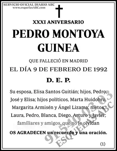 Pedro Montoya Guinea