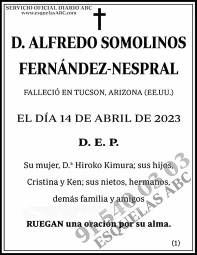 Alfredo Somolinos Fernández-Nespral