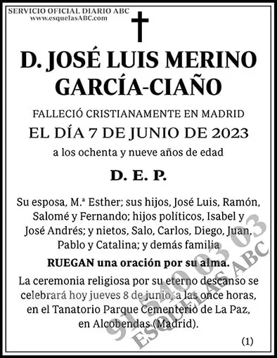 José Luis Merino García-Ciaño
