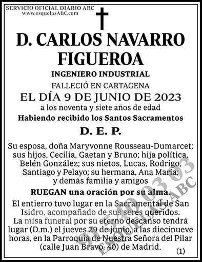 Carlos Navarro Figueroa